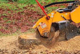 Lawn Irrigation Installation and Maintenance in St James, MD